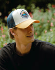 Born to Surf Brown / Blue / Yellow
