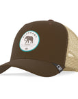 Elephant Truck Brown