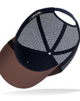 Brown / Blue Orbital