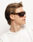 Airborne Brown Tortoise / Black