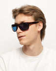Alpine Brown Tortoise / Blue