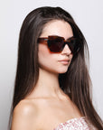 Sequoia Brown Tortoise / Brown