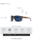 Alpine Brown Tortoise / Blue