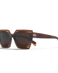 Sequoia Brown Tortoise / Brown