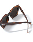 Sequoia Brown Tortoise / Brown