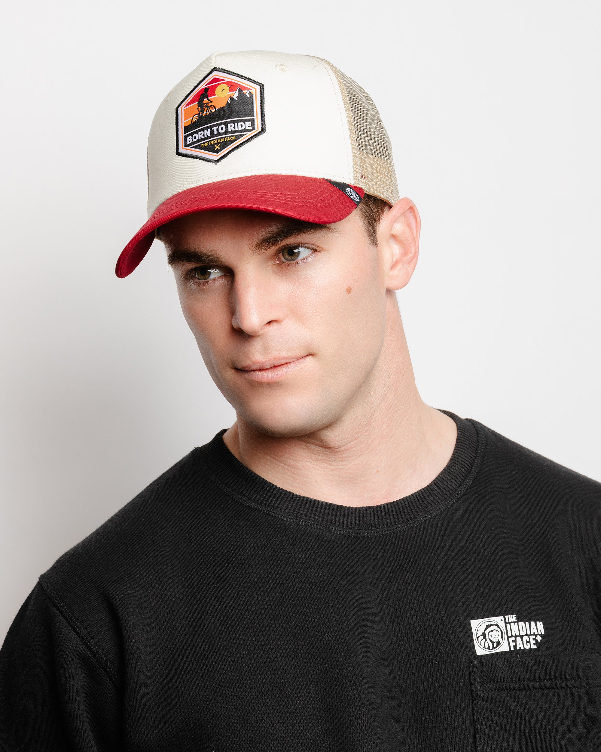 Born to Ride Brown / Grey / Red