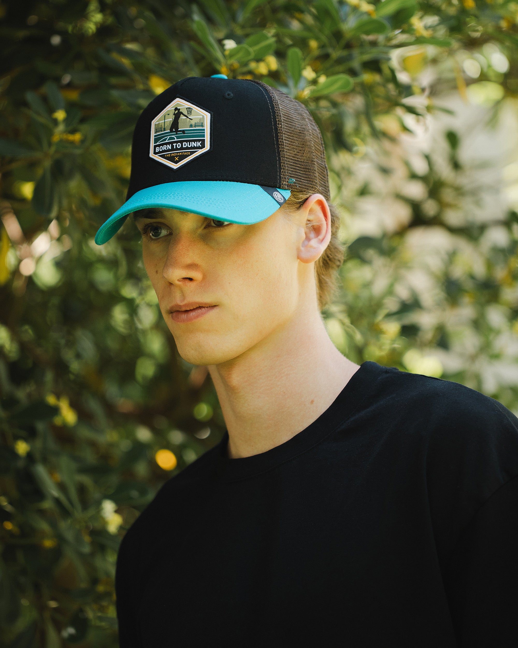Born to Dunk Brown / Blue