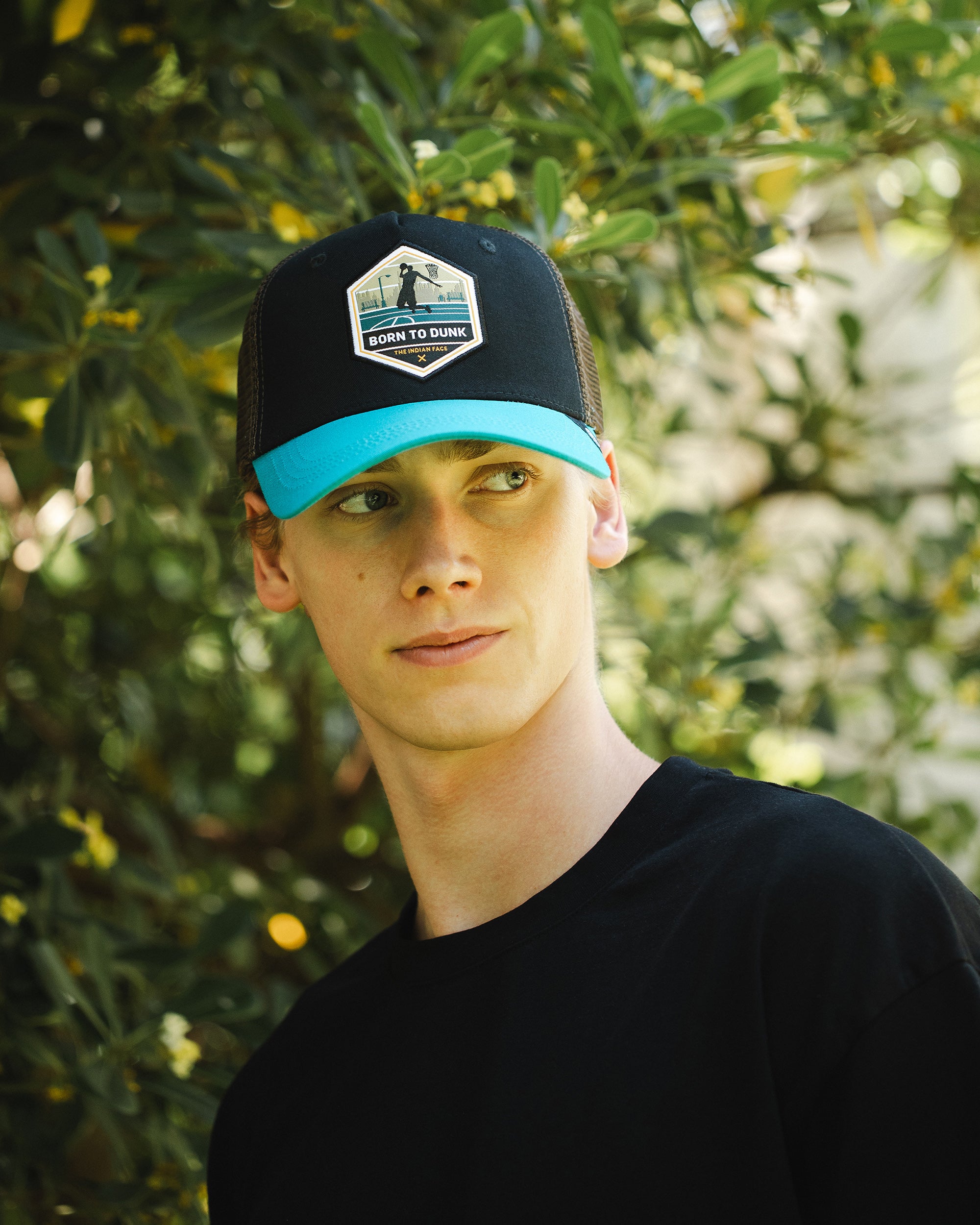 Born to Dunk Brown / Blue
