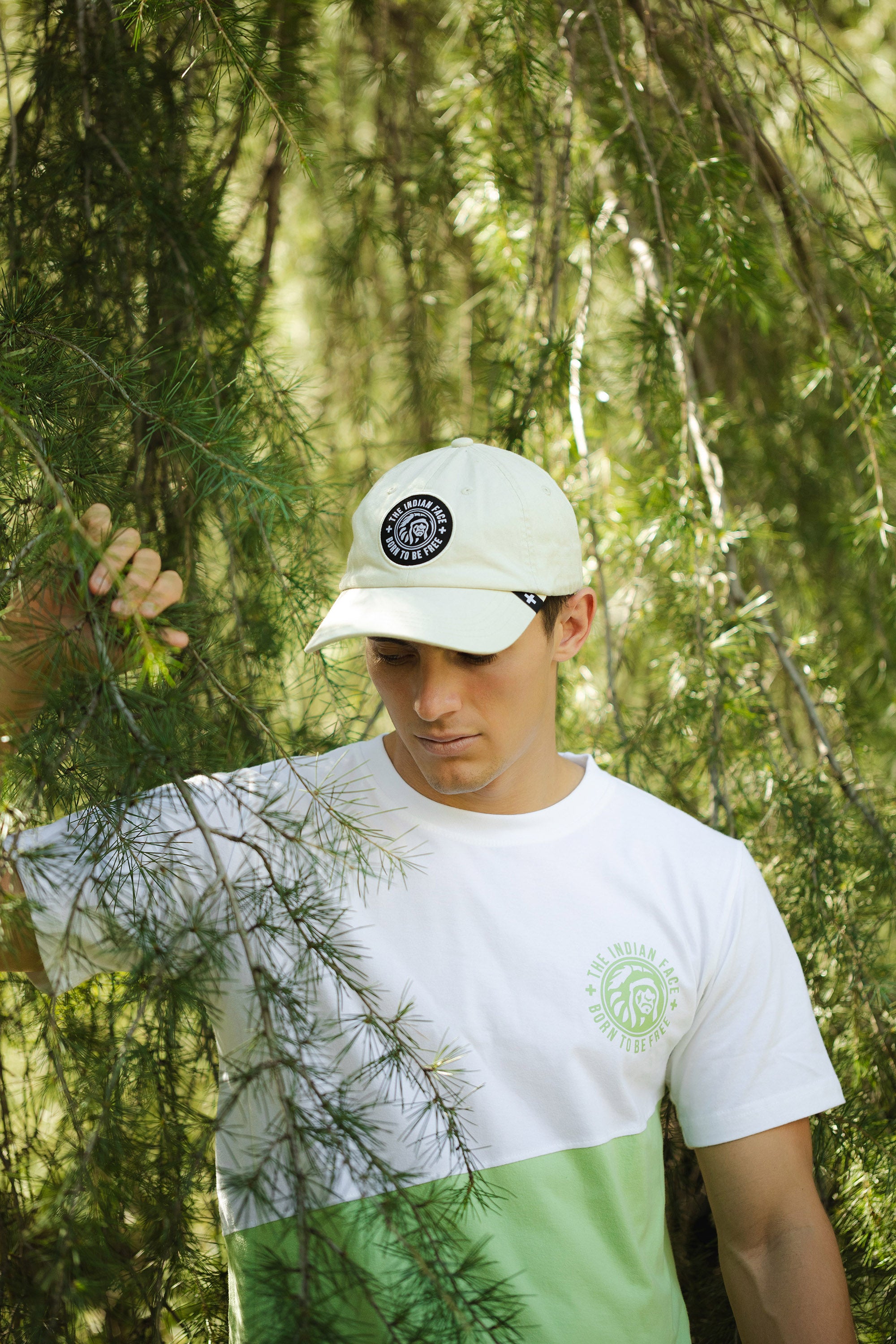 Natureza bege