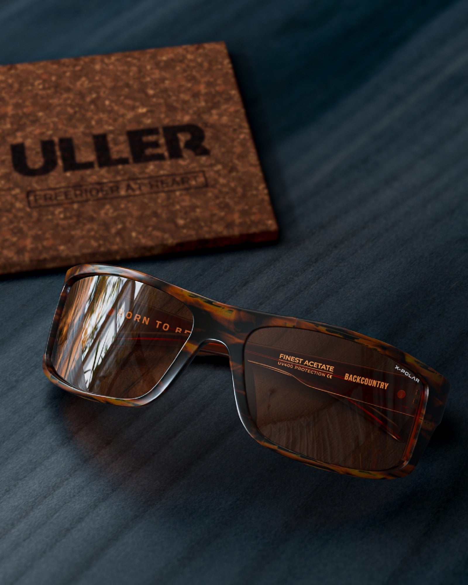 Backcountry Black Tortoise / Brown