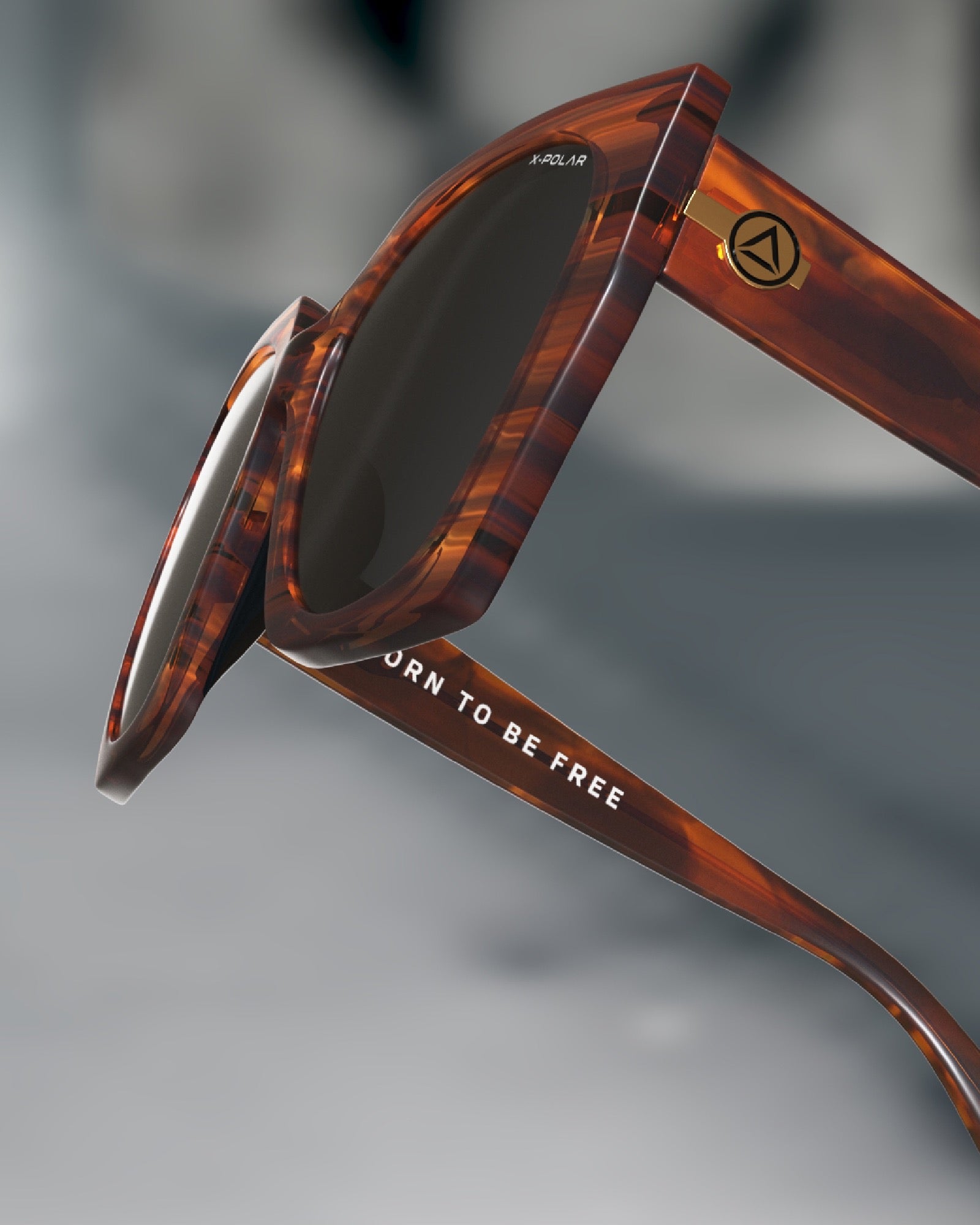 Sequoia Brown Tortoise / Brown