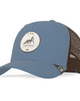 Fox Truck Blue / Brown