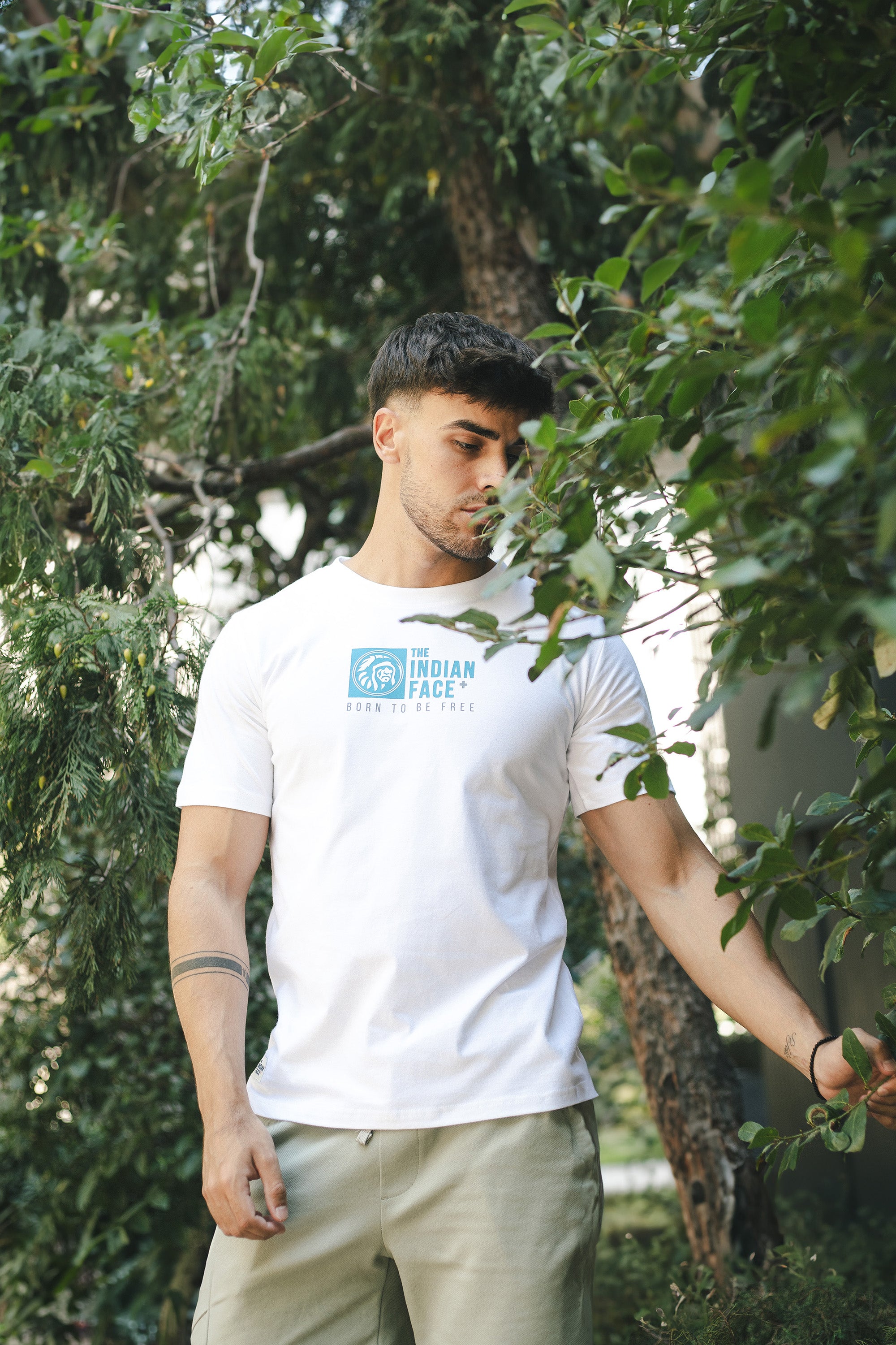 Nomad White