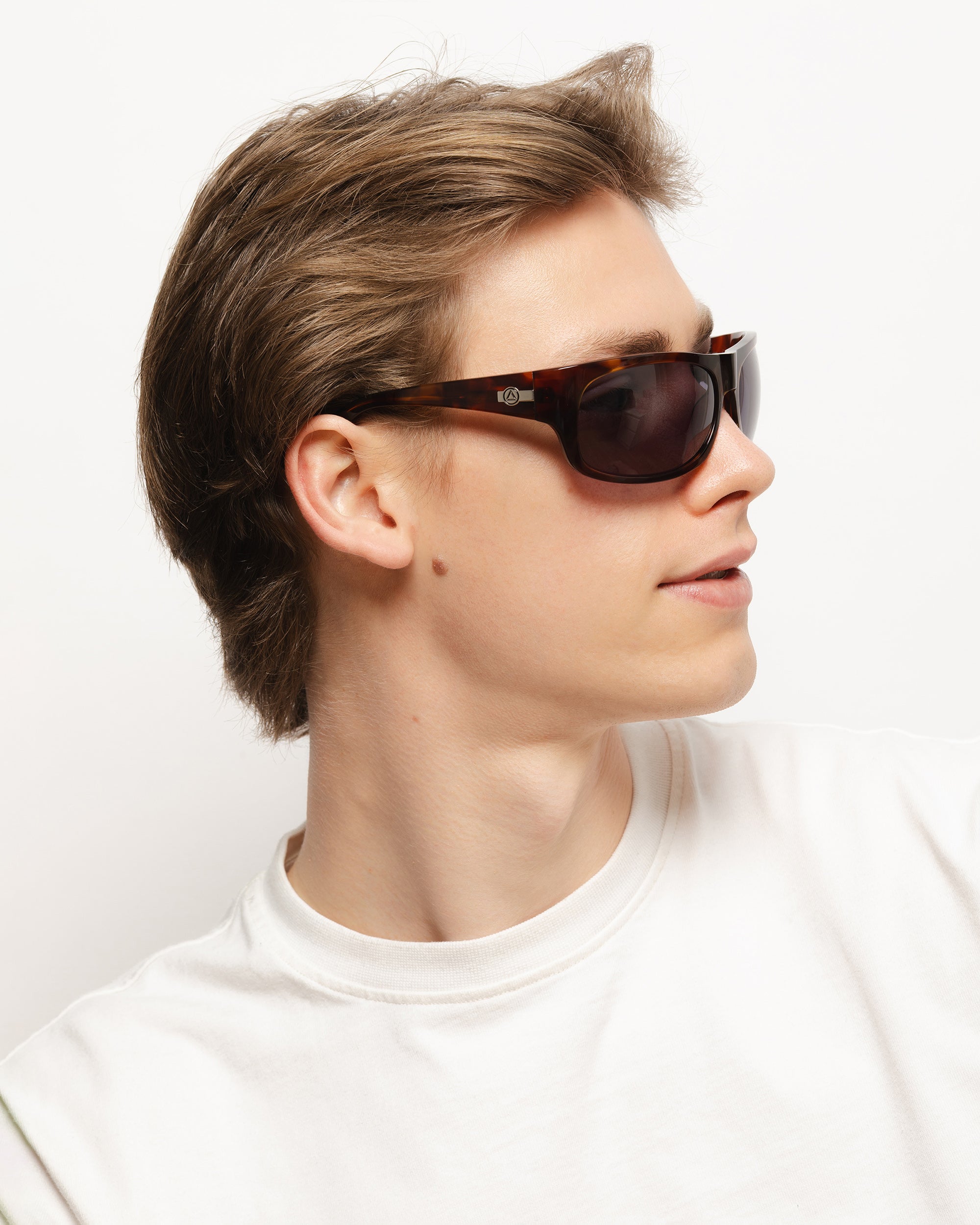 Airborne Brown Tortoise / Black