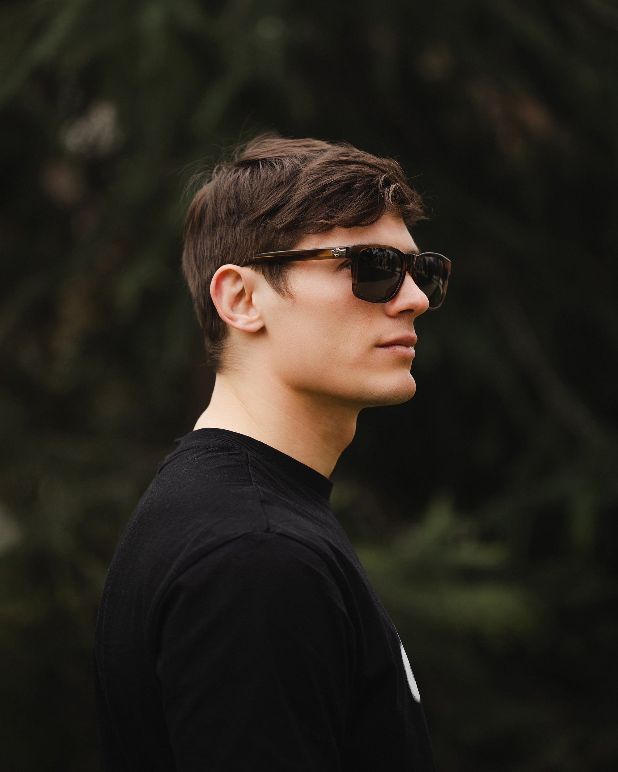 Jib Brown Tortoise / Schwarz