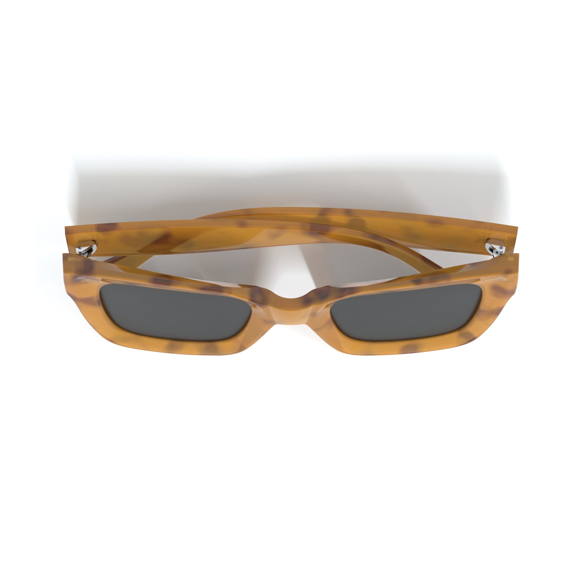 Los Roques Tortoise / Black