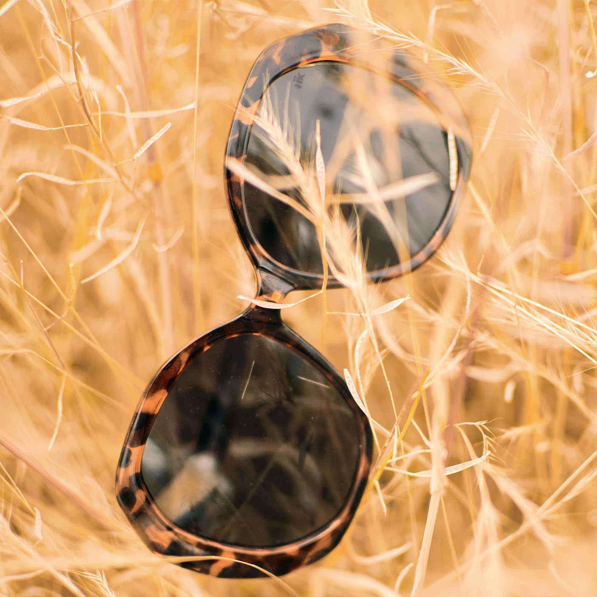 Lombard Tortoise / Black