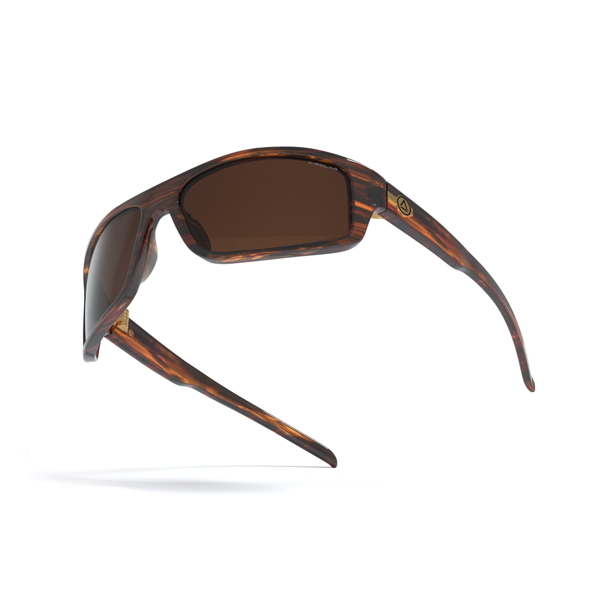 Backcountry Black Tortoise / Brown