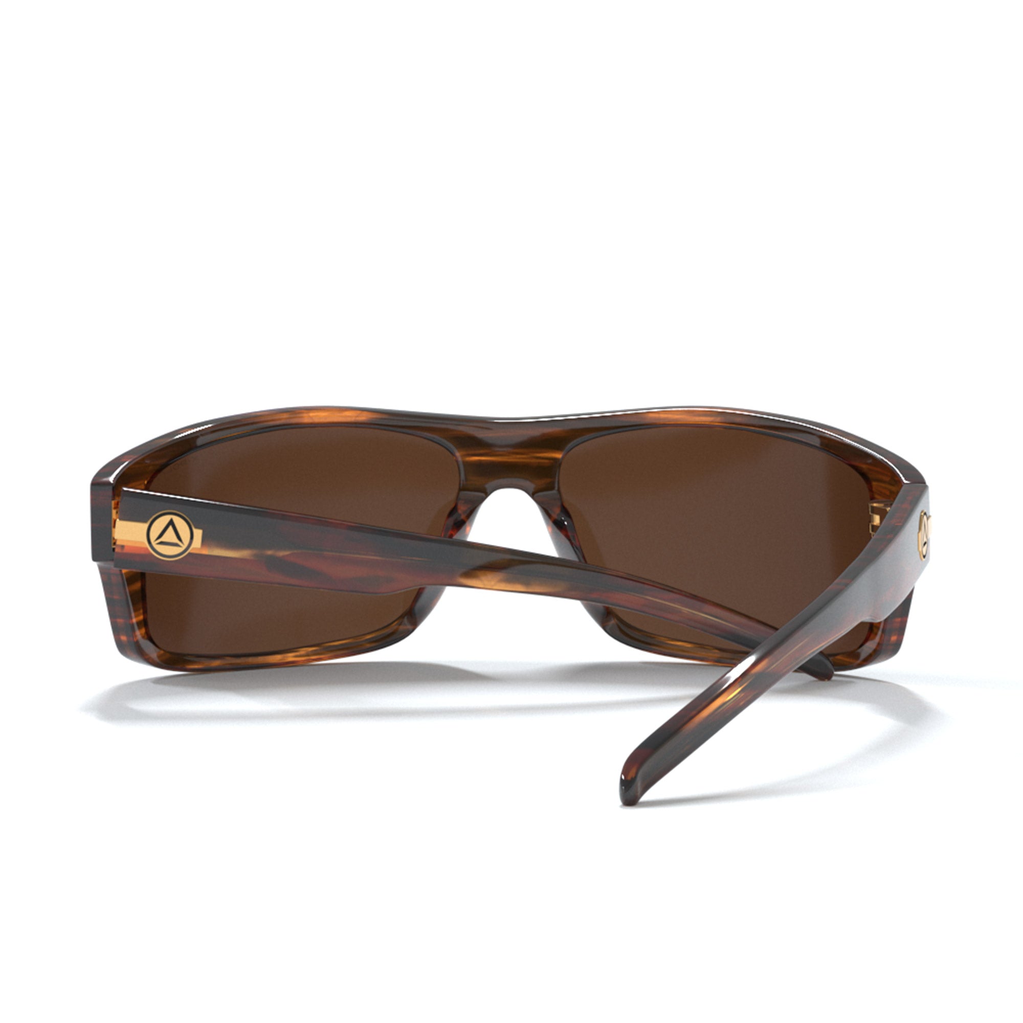 Backcountry Black Tortoise / Brown