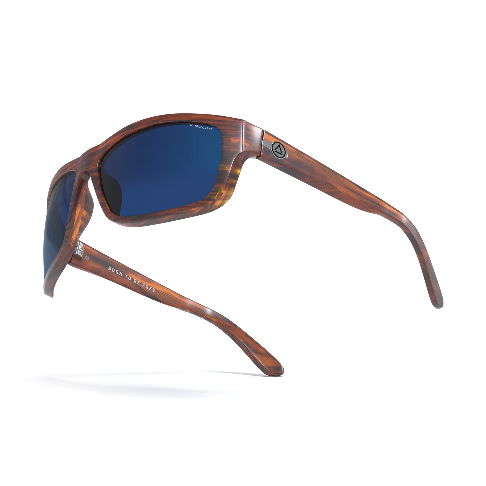 Alpine Brown Tortoise / Blue