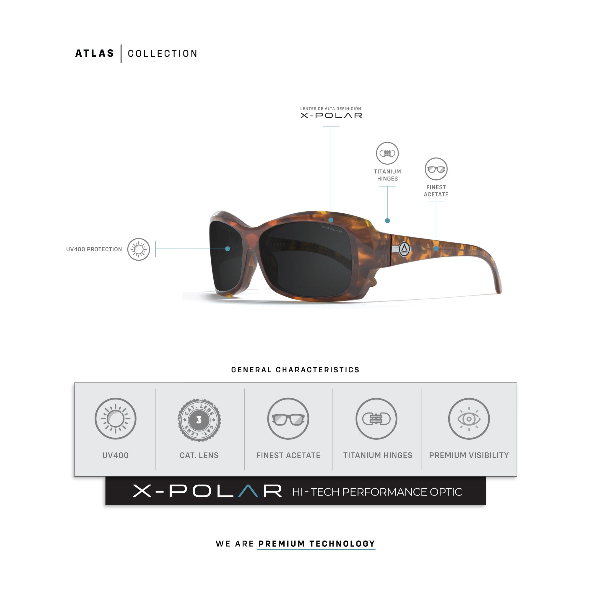 Atlas Brown Tortoise / Black