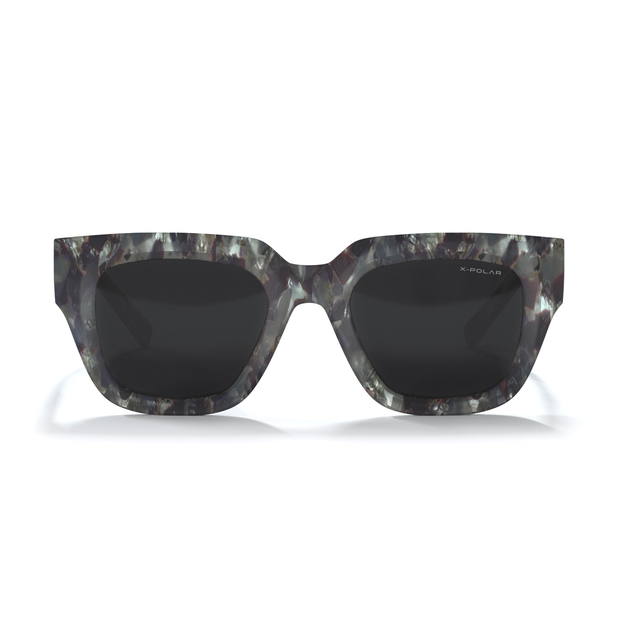 Boreal Green Tortoise / Black