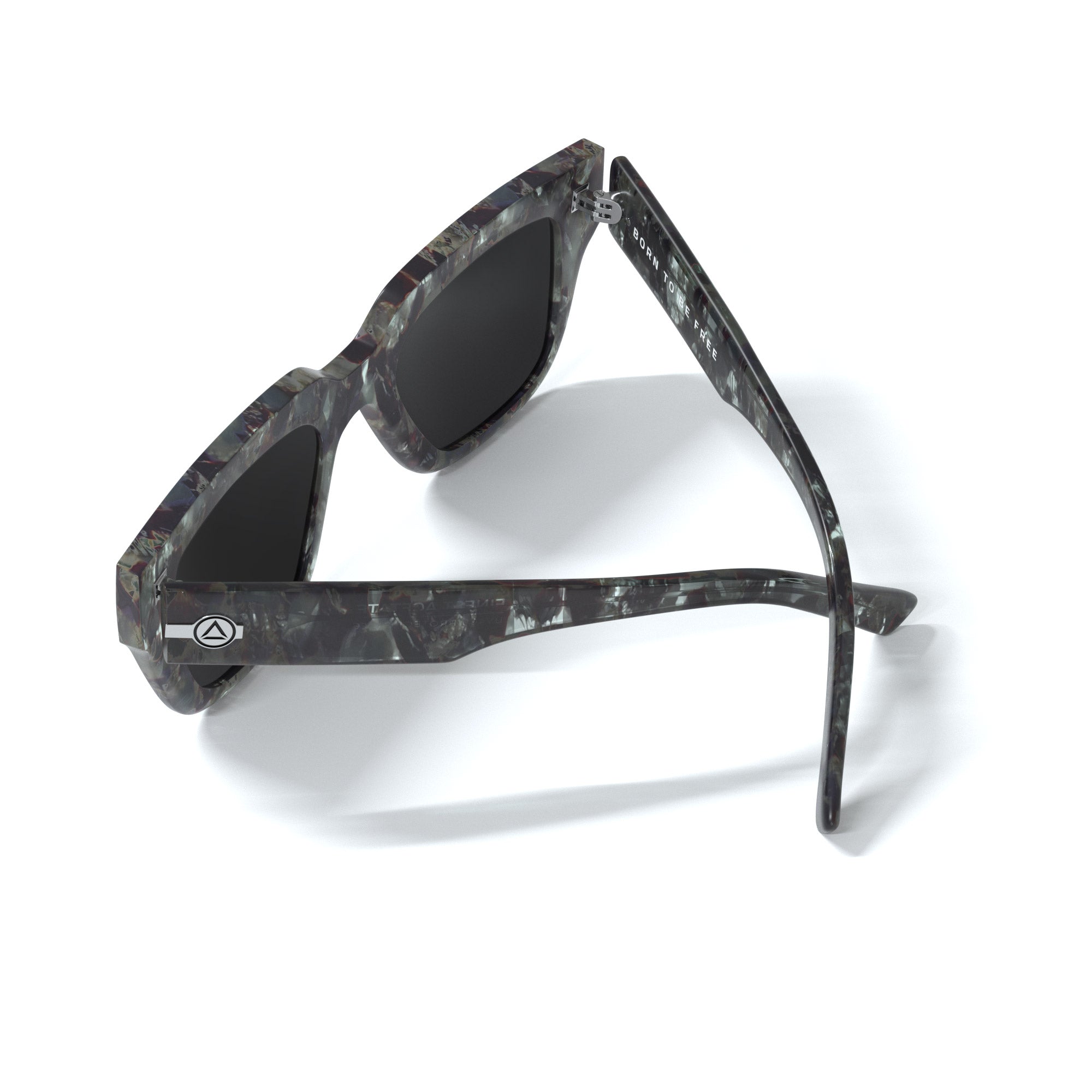 Boreal Green Tortoise / Black