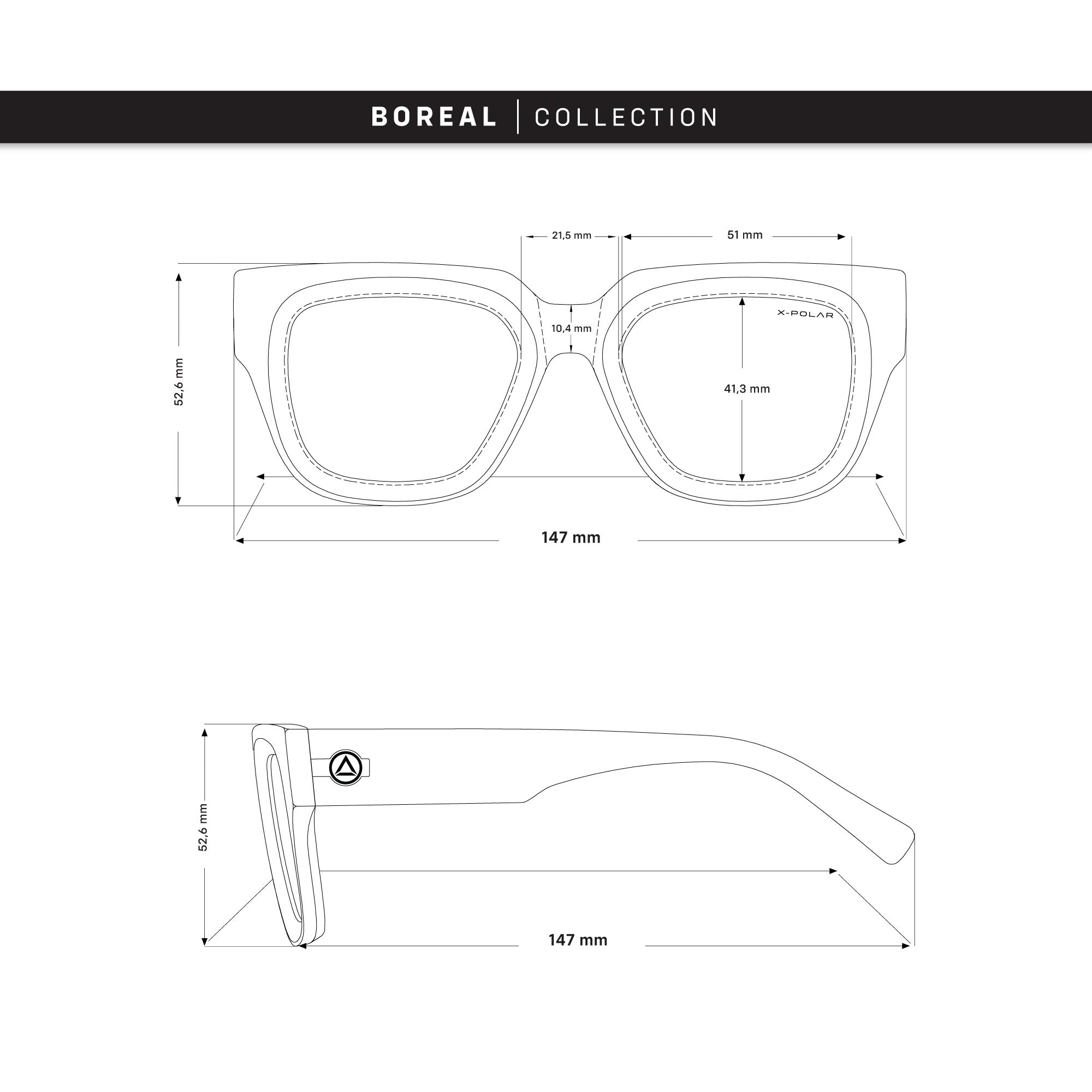 Boreal Green Tortoise / Black